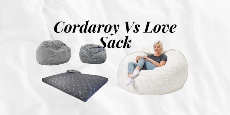 love Sac vs Cordaroy Comparison: Which Should You Choose?