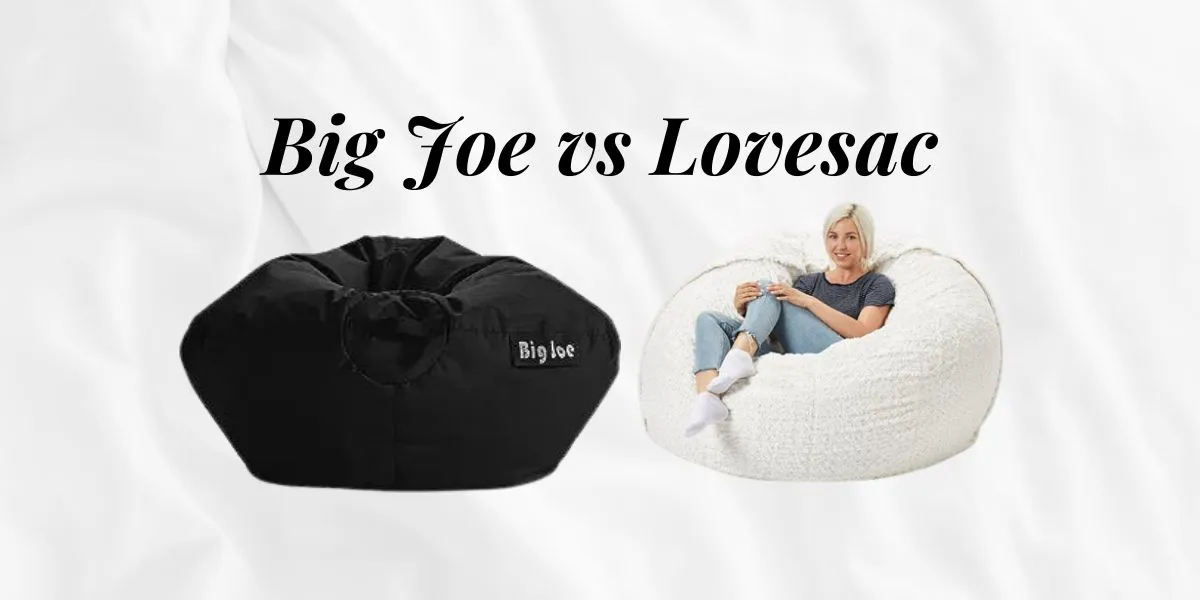 Big Joe vs Lovesac