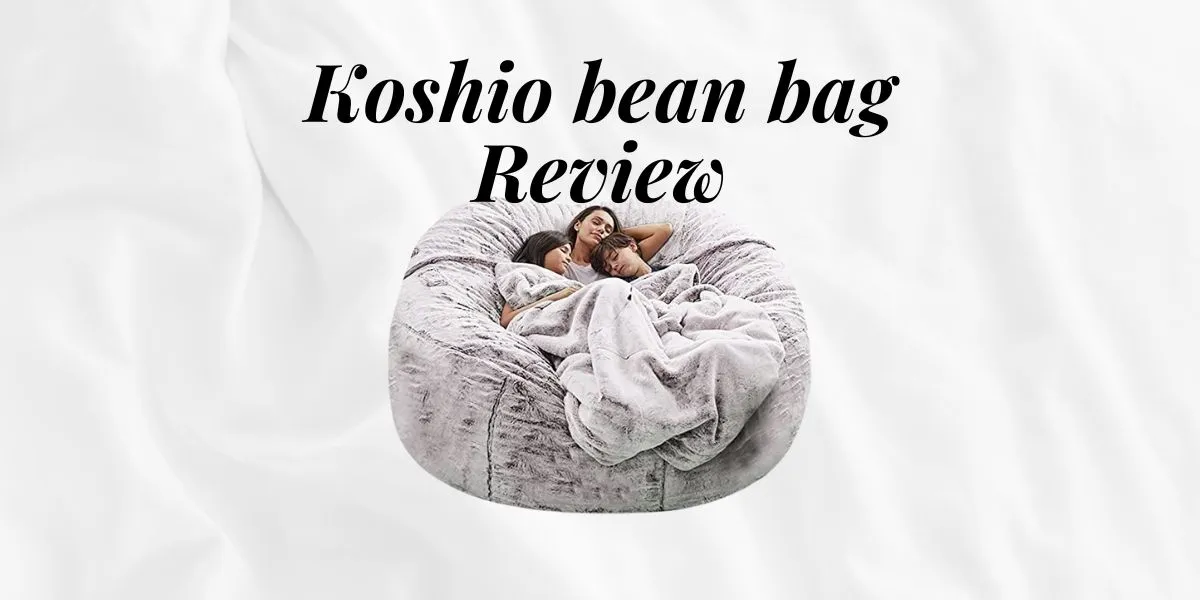 Koshio bean bag Review