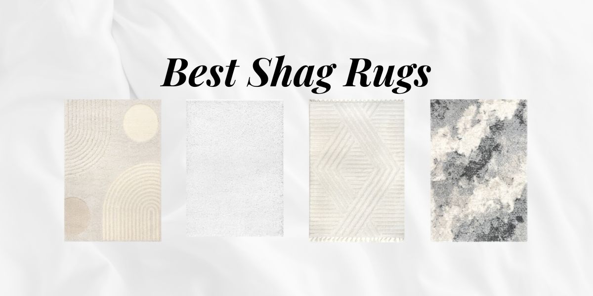 Best Shag Rugs